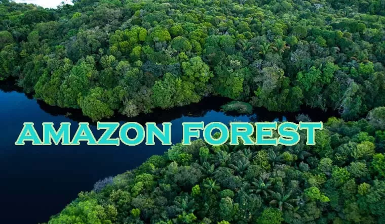 अमेज़न जंगल - : अमेज़न के सबसे खतरनाक जंगल