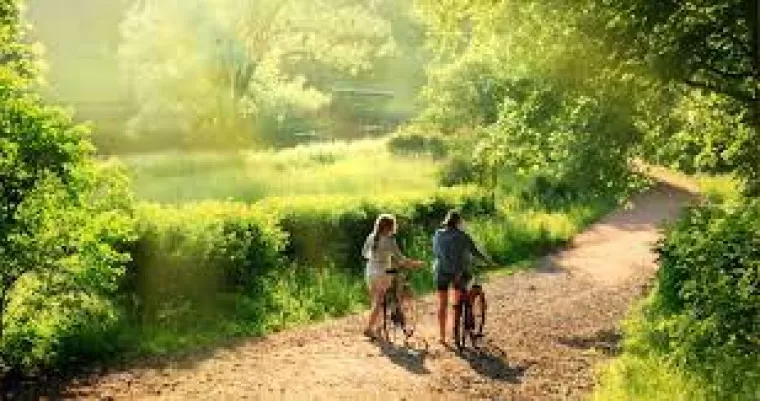 Health Benefits of Fresh Air : ताजी हवा के स्वास्थ्य लाभ