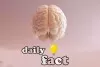 10 Amazing Facts