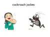 cockroach के लिए पाउडर