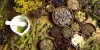 What is Herbs
